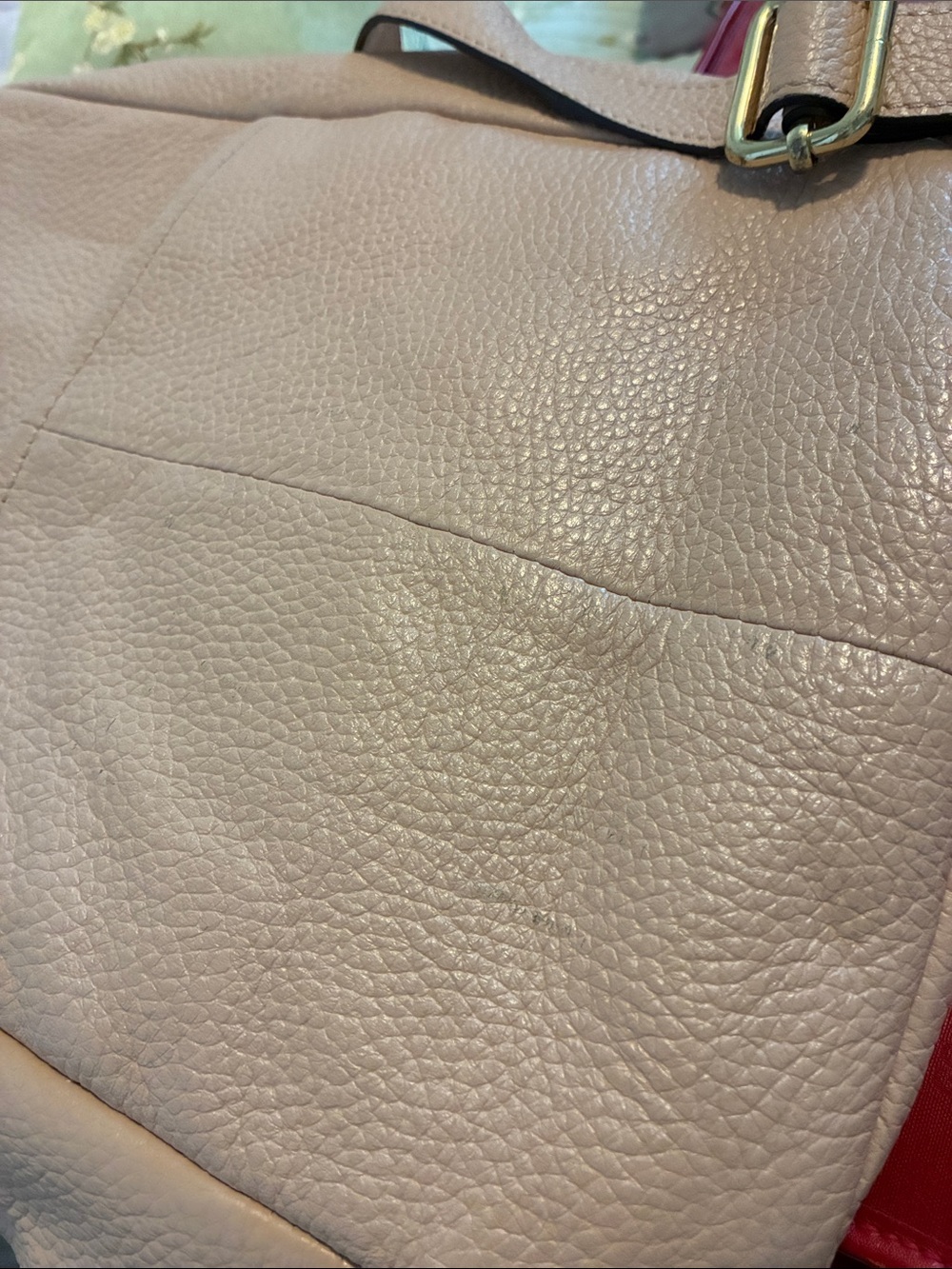 Aimee Kestenberg Blush Leather Pebbled Backpack with Gold Hardware - Picture 11 of 11